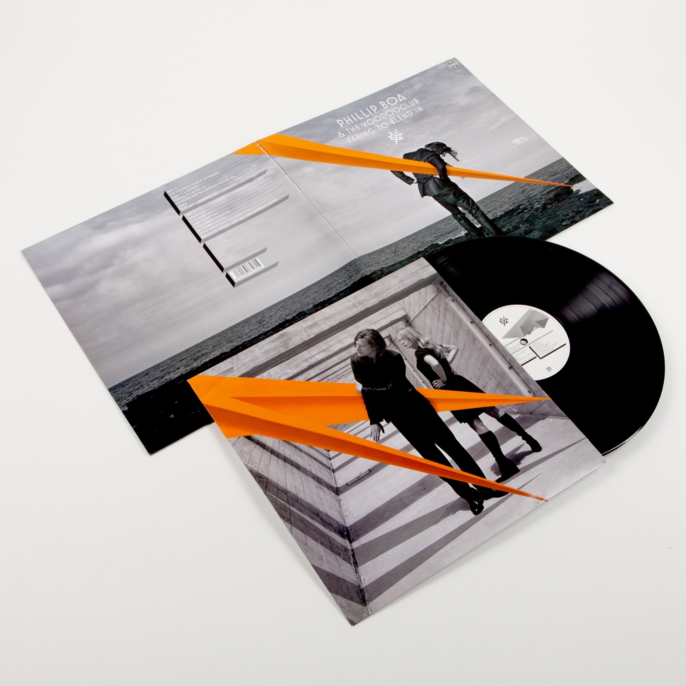 BDR_Webseite_Vinyl_Boa_2