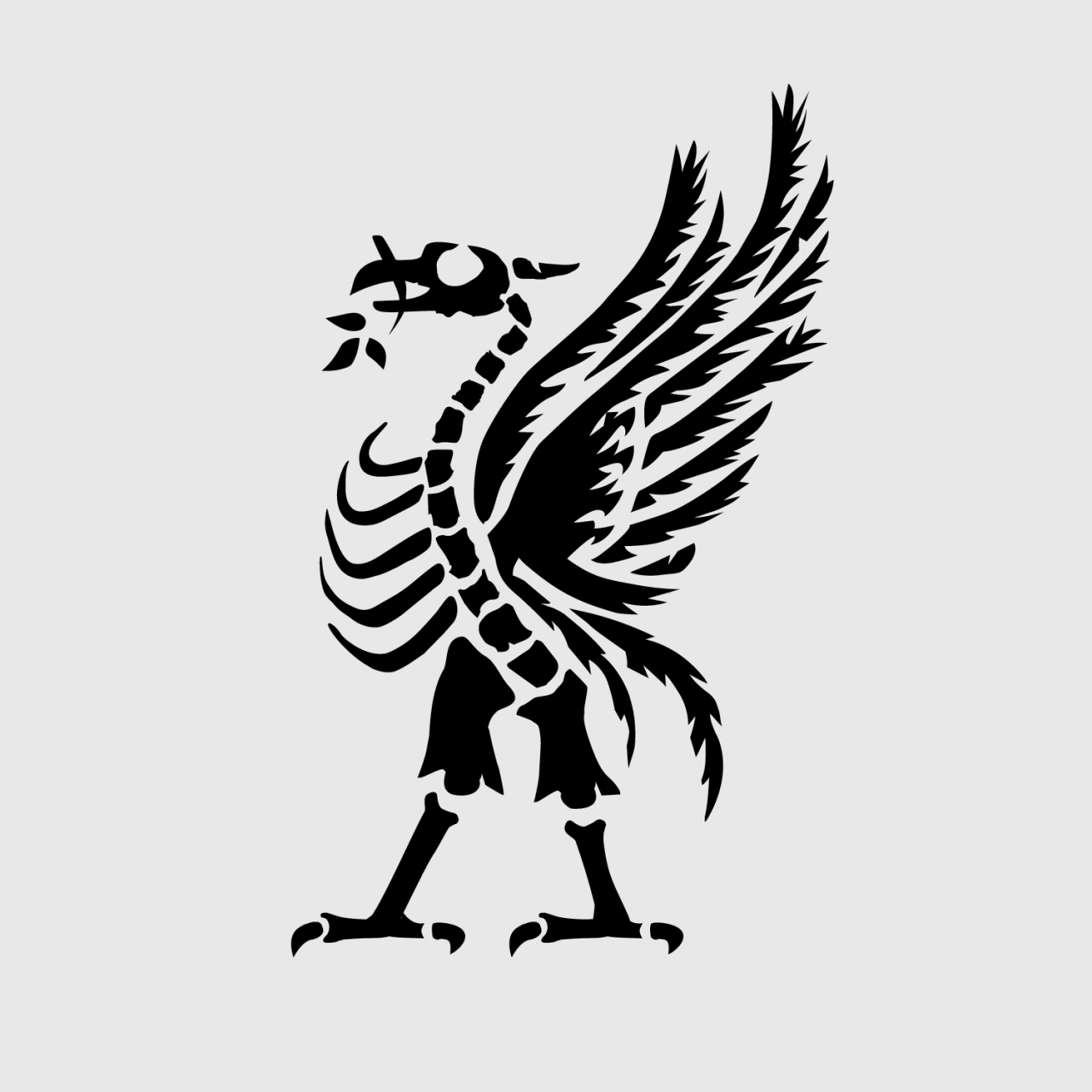 BDR_Webseite_2021_Bilder_1500x1500pixel2