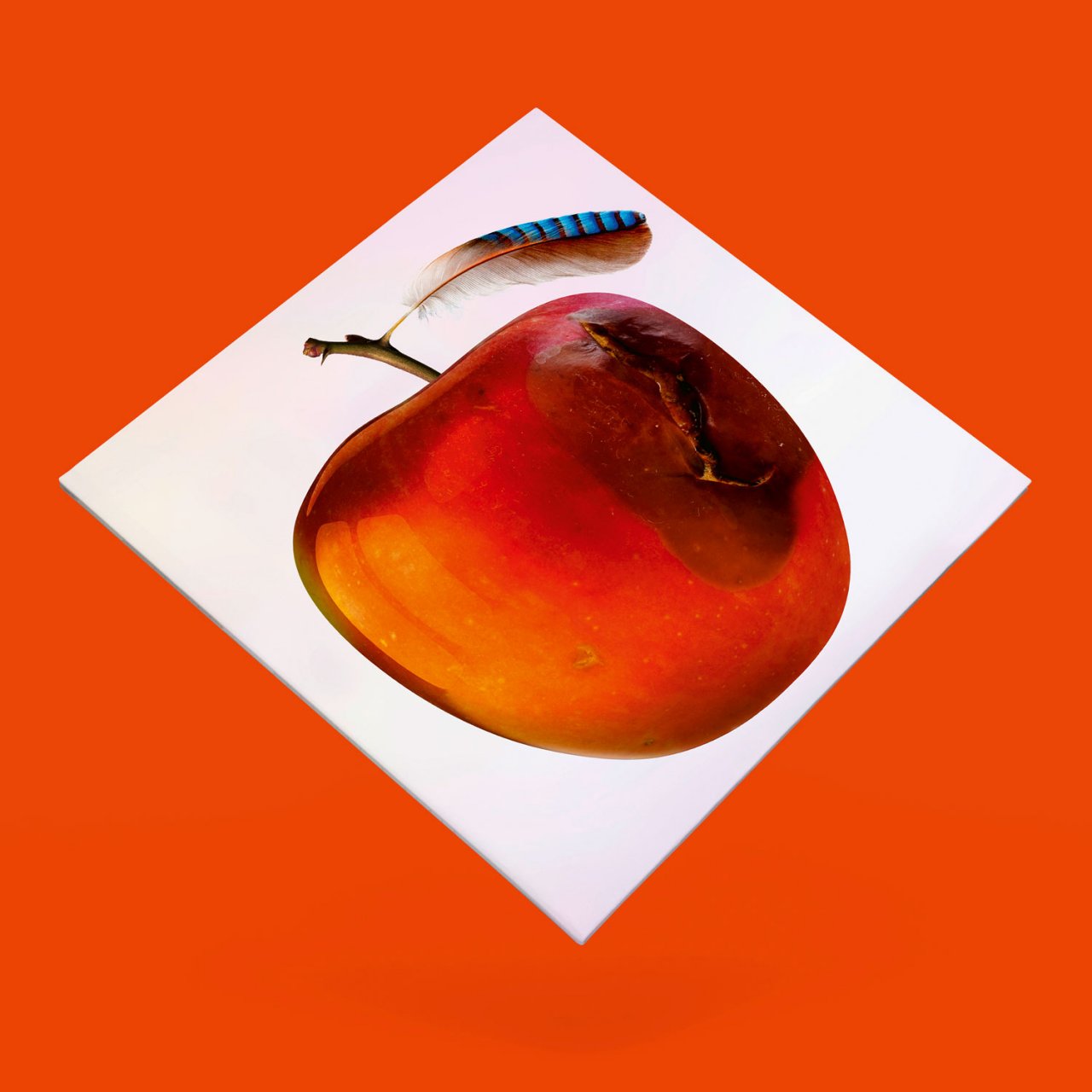 BDR_Webseite_2021_Bilder_1500x1500pixel_023