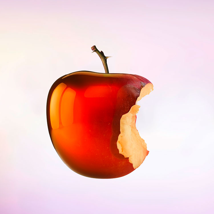 BDR_Webseite_2021_Bilder_750x750pixel052