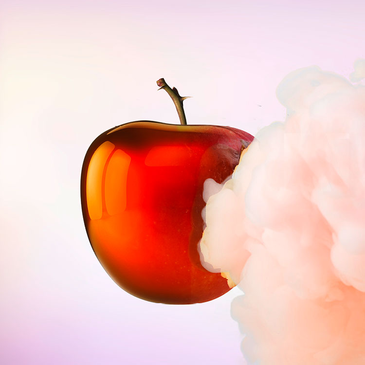 BDR_Webseite_2021_Bilder_750x750pixel053