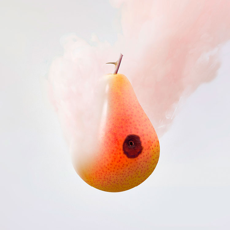 BDR_Webseite_2021_Bilder_750x750pixel054