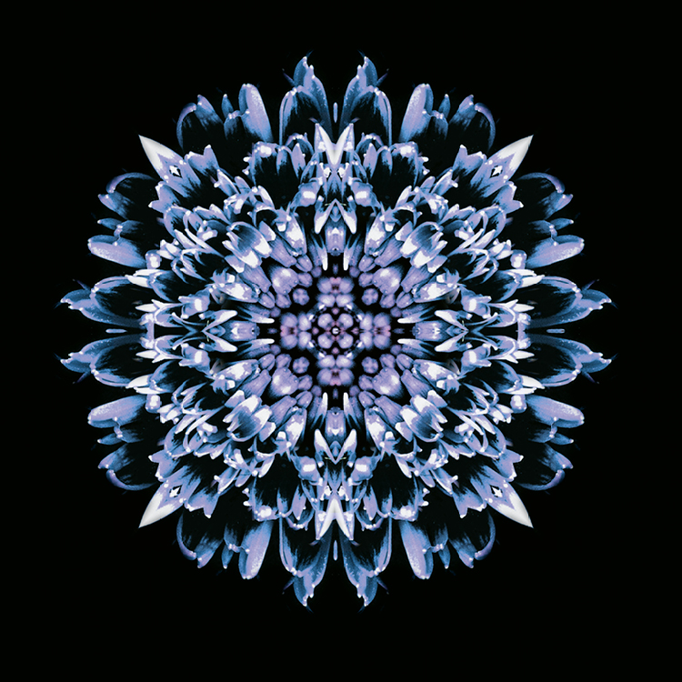 BDR_Webseite_2021_Bilder_750x750pixel10