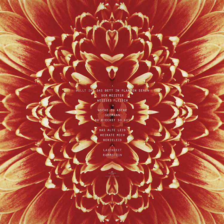 BDR_Webseite_2021_Bilder_750x750pixel11