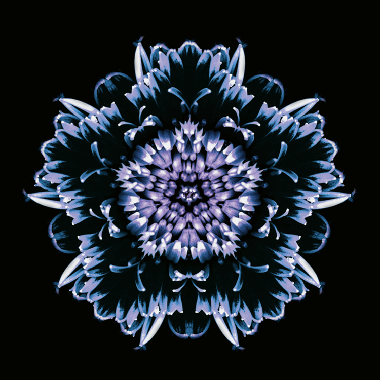 BDR_Webseite_2021_Bilder_750x750pixel12