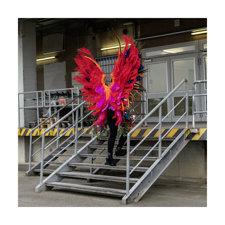 BDR_Webseite_2021_Bilder_750x750pixel4