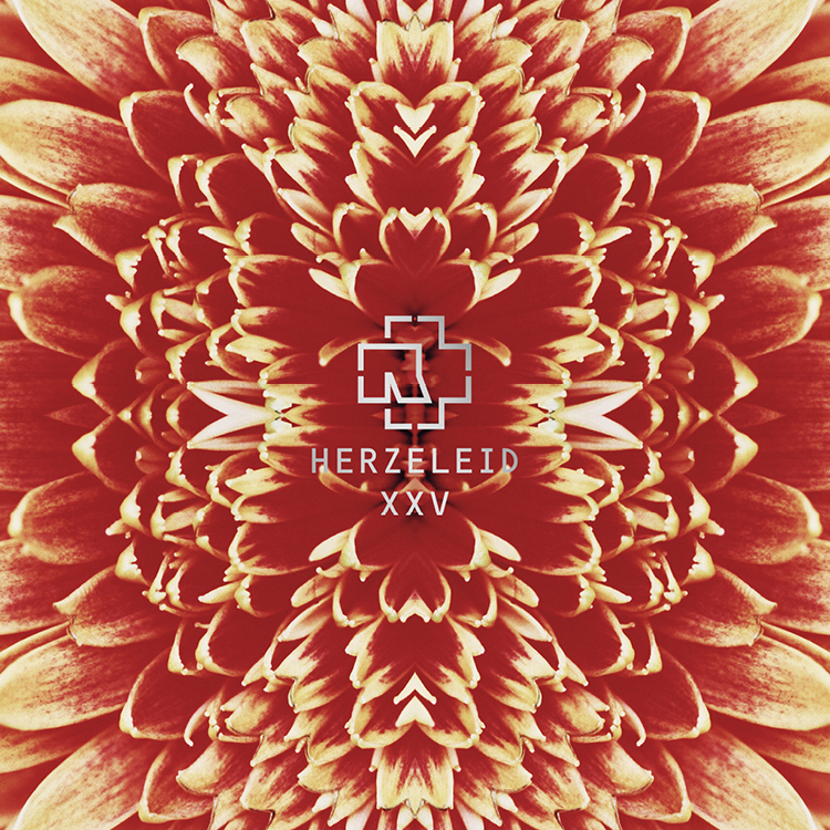 BDR_Webseite_2021_Bilder_750x750pixel9