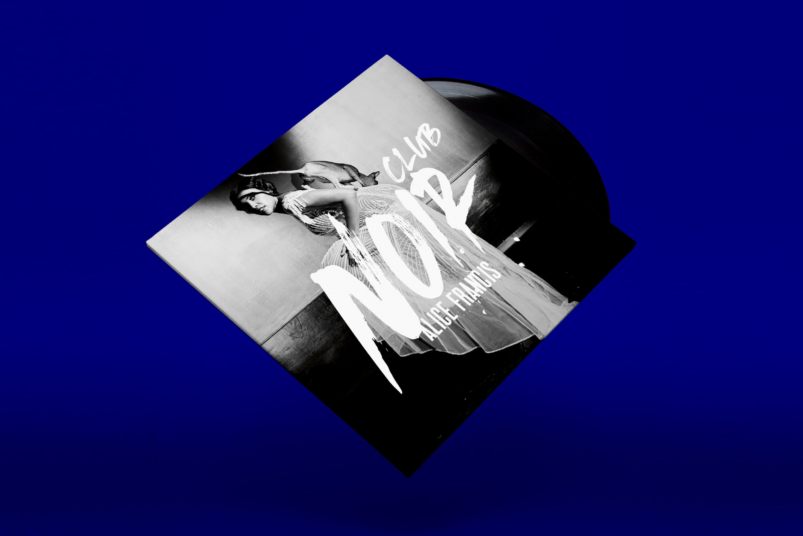 BDR_Webseite_2022_Alice_Francis_Noir_Abbildung_01